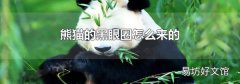 熊猫的黑眼圈怎么来的