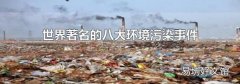 世界著名的八大环境污染事件