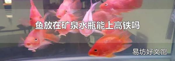 鱼放在矿泉水瓶能上高铁吗
