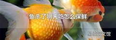 鱼杀了明天吃怎么保鲜