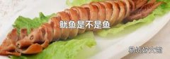 鱿鱼是不是鱼