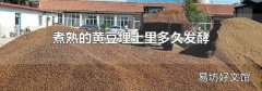 煮熟的黄豆埋土里多久发酵