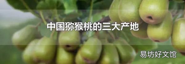 中国猕猴桃的三大产地