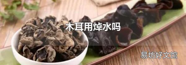 木耳用焯水吗
