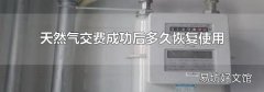 天然气交费成功后多久恢复使用