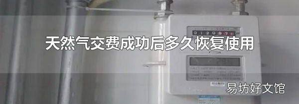 天然气交费成功后多久恢复使用