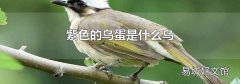 紫色的鸟蛋是什么鸟