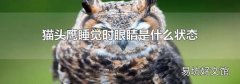 猫头鹰睡觉时眼睛是什么状态