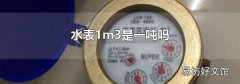水表1m3是一吨吗
