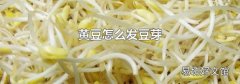黄豆怎么发豆芽