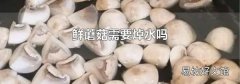 鲜蘑菇需要焯水吗