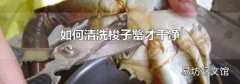 如何清洗梭子蟹才干净