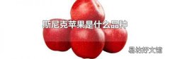 斯尼克苹果是什么品种
