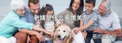 老姨是什么親屬關(guān)系