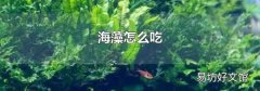 海藻怎么吃