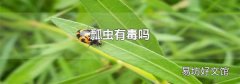 瓢蟲有毒嗎