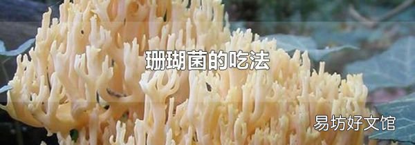 珊瑚菌的吃法