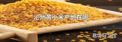 沁州黃小米產(chǎn)地在哪