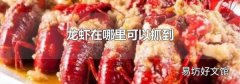 龙虾在哪里可以抓到