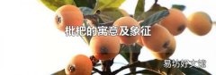 枇杷的寓意及象征