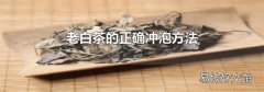 老白茶的正確沖泡方法