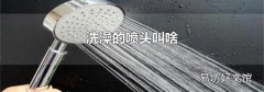 洗澡的噴頭叫啥