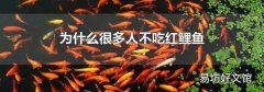 为什么很多人不吃红鲤鱼