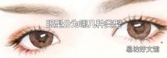 眼型分为哪几种类型