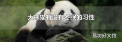大熊猫有没有冬眠的习性
