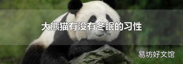 大熊猫有没有冬眠的习性