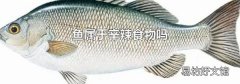 鱼属于辛辣食物吗