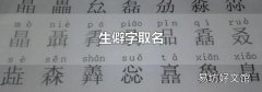 生僻字取名