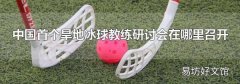 中国首个旱地冰球教练研讨会在哪里召开