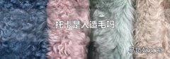 托卡是人造毛吗