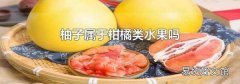 柚子属于柑橘类水果吗
