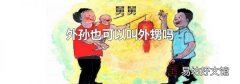 外孫也可以叫外甥嗎