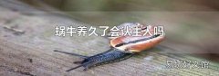 蝸牛養(yǎng)久了會認(rèn)主人嗎