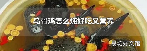 烏骨雞怎么燉好吃又營養(yǎng)
