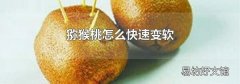 獼猴桃怎么快速變軟