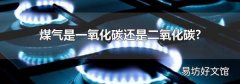 煤氣是一氧化碳還是二氧化碳?