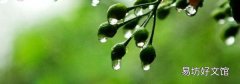 梅雨季節(jié)是春夏秋冬哪個季節(jié)