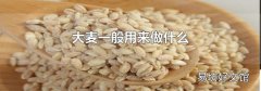 大麥一般用來做什么