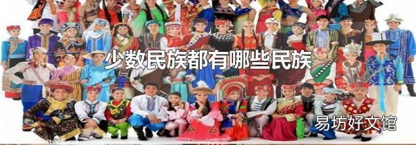 少數(shù)民族都有哪些民族