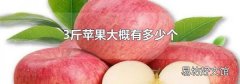 3斤蘋果大概有多少個