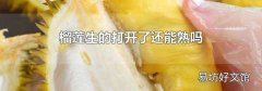 榴蓮生的打開(kāi)了還能熟嗎