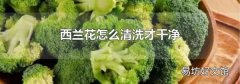 西蘭花怎么清洗才干凈