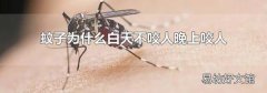 蚊子為什么白天不咬人晚上咬人