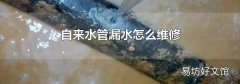 自來水管漏水怎么維修