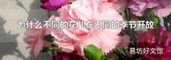 為什么不同的花兒在不同的季節(jié)開放