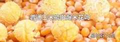 普通玉米能做爆米花嗎